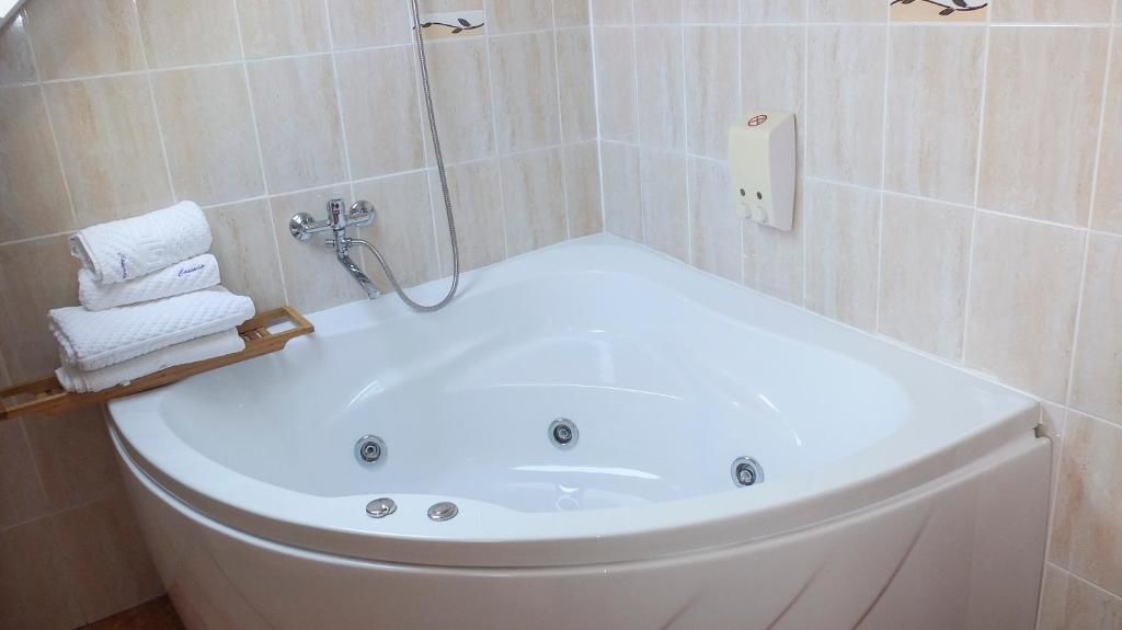 Гостевой дом Vila Cascada Буштени